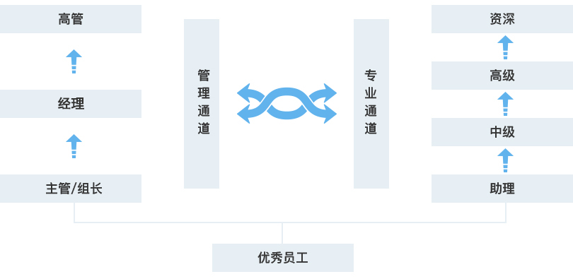 二四六天空彩免费大全